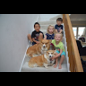 Meet your Posher, Lynne